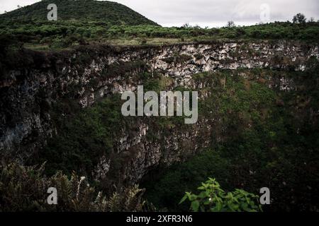 Ein weitläufiger Blick auf das üppig grüne Galapagos-Hochland mit dramatischen Klippen und einer grünen Schlucht, eine atemberaubende Darstellung des Inselu Stockfoto