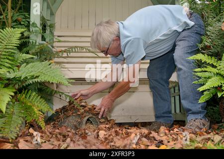 Igelhaus in einem Vorstadtgarten mit Strohbeet und Laubstreu vom Hausbesitzer Chippenham, Wiltshire, Großbritannien, September. Modell freigegeben. Stockfoto