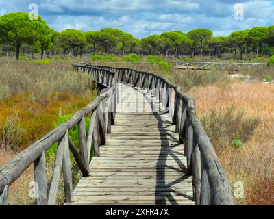 Boarding Walk im Donana Nationalpark, Almonte, Spanien, Oktober 2017. Stockfoto