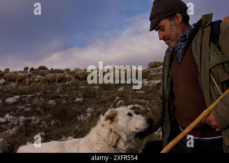 Shepherd, mit Maremma Sheepdog, trägt traditionelle Anti-Wolf-Stachel-Kragen, lokal bekannt als „Vreccale“. Gran Sasso Nationalpark, Abruzzen, Italien, Juni. Stockfoto