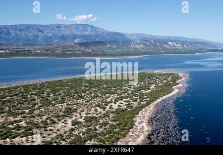 Isla Cabritos, Nationalpark Lago Enriquillo, Dominikanische Republik, März 2017. Stockfoto