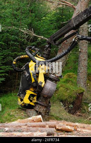 Holzerntemaschine für das Fällen und Verarbeiten von Nadelbäumen, Inverness-shire, Schottland, August 2007 Stockfoto