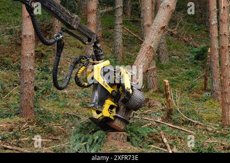 Holzerntemaschine für das Fällen und Verarbeiten von Nadelbäumen, Inverness-shire, Schottland, August 2007 Stockfoto