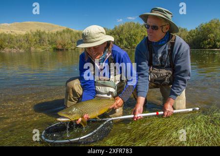 Preis 6 kg männliche Hakenforellen (Salmo trutta), gefangen im Netz, Beaverhead River, Montana, USA. September 2010. Stockfoto