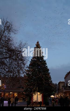 Sacramento, Kalifornien, USA. 24. Dezember 2023. Old Sacramento's Theatre of Lights Festival, ein kostenloses Urlaubsprogramm, um den Albtraum vor CH nachzustellen Stockfoto