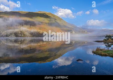 Reflexionen in Llyn Gwynant auf einem nebligen Morgen, glaslyn Tal, mit Yr Aran Berg im Hintergrund, Snowdonia National Park, North Wales, UK, November 2017. Stockfoto