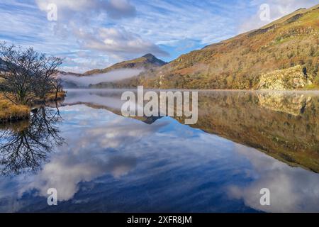 Reflexionen in Llyn Gwynant auf einem nebligen Morgen, glaslyn Tal, mit Yr Aran Berg im Hintergrund, Snowdonia National Park, North Wales, UK, November 2017. Stockfoto