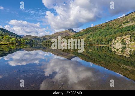 Reflexionen in Llyn Gwynant, Glaslyn Valley mit Blick nach Nordosten, Snowdonia National Park, Nordwales, Großbritannien, September. Stockfoto