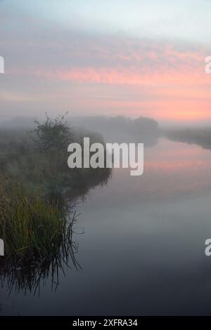 Dicker Nebel über dem Kasari Fluss in der Dämmerung in Matsalu Nationalpark, Kloostri, Estland, September 2017. Stockfoto