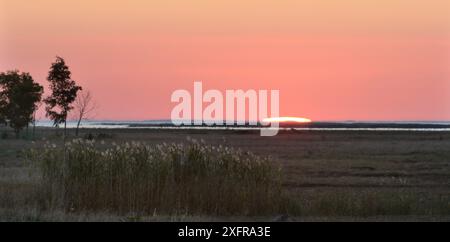 Sonnenuntergang über Sumpfland und Schilf im Matsalu-Nationalpark, Pogari-Sassi, Estland, September 2017. Stockfoto