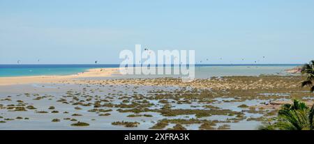 Sotavento Lagune und Kitesurfer, in der Nähe von Jandia, Fuerteventura, Kanarischen Inseln, Mai. Stockfoto