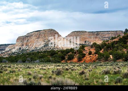 Weiße und pinke Klippen, Grand Staircase-Escalante National Monument, Johnson Canyon, Kanab, Utah Stockfoto