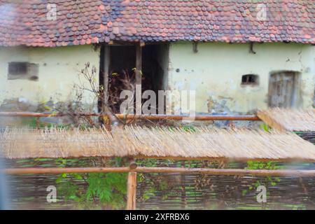 Europa, Rumänien. Viscri. Traditionelles Dorfhaus im Regen und Nebel. Stockfoto