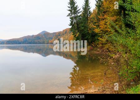 Europa, Rumänien. Maramures County. Baia Mare. Firiza. Firiza-See. Herbstfarbe. Stockfoto