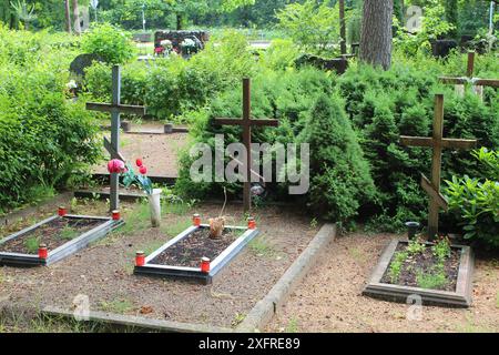 Drei russisch-orthodoxe christliche Kreuze zwischen grünen Pflanzen auf dem Friedhof von Ogre, Lettland Stockfoto