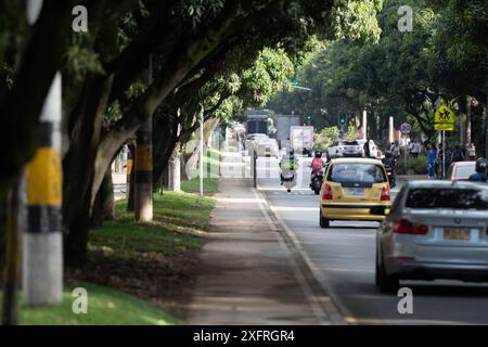 Medellin, Kolumbien, verändert seine städtische Landschaft durch die Einführung grüner Korridore, einer Pionierinitiative zur Bekämpfung des Hitzeinseln-Effekts der Stadt und zur Verbesserung der Luftqualität. Diese Korridore, die die Hauptstraßen und Straßen mit üppigen Bäumen, Sträuchern und Pflanzen säumen, mildern nicht nur die städtische Hitze, sondern bieten den Bewohnern und Besuchern auch angenehmere, begehbare Bereiche. Durch die Integration der Natur in die Infrastruktur der Stadt setzen die grünen Korridore von Medellin im Juni neue Maßstäbe für eine nachhaltige Stadtentwicklung und verbessern die Lebensqualität der Bürger insgesamt Stockfoto