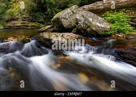 Cascade on Looking Glass Creek - Pisgah National Forest, in der Nähe von Brevard, North Carolina, USA Stockfoto