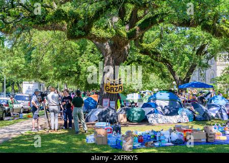 NEW ORLEANS, LA, USA - 30. APRIL 2024: Kamerateam und pro-palästinensische Demonstranten lagern auf dem Gelände der Tulane University Stockfoto