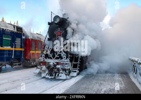 RUSKEALA, RUSSLAND - 20. JANUAR 2024: Eine alte sowjetische Dampflokomotive der Baureihe L in Dampfwolken an einem frostigen Januartag. Ruskeala Stockfoto