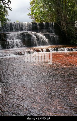 Jasper Creek Wasserfall und sein rotes jasper Flussbett, Quebrada de Jaspe, Gran Sabana, Venezuela Stockfoto