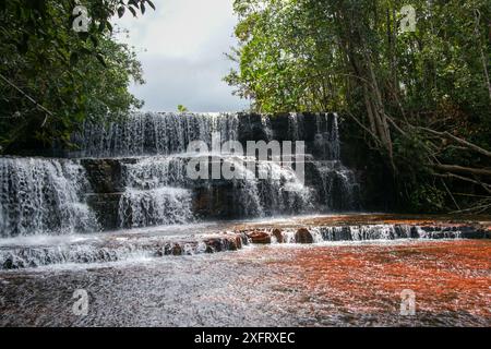 Quebrada de Jaspe, Jasper Creek Wasserfall mit rotem jasper Flussbett, Gran Sabana, Venezuela Stockfoto