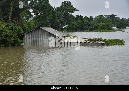 Morigaon, Assam, Indien. Juli 2024. MORIGAON, ASSAM, INDIEN-04. JULI 2024: Unterwasserhaus bei Hochwasser in einem Hochwassergebiet im Morigaon District von Assam. (Kreditbild: © Hafiz Ahmed/ZUMA Press Wire) NUR REDAKTIONELLE VERWENDUNG! Nicht für kommerzielle ZWECKE! Stockfoto