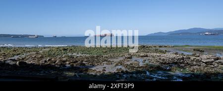 Vancouver CAN, Kanada / Kanada, Urlaubseindruecke und Sehenswuerdigkeiten, Vancouver, Downtown, 04.07.2024. mehrere Frachtschiffe und Tanker, die in der English Bay vor Anker liegen vom Stanley Park aus gesehen. CAN, Kanada / Kanada, Urlaubseindruecke und Sehenswuerdigkeiten, Vancouver, Downtown, 04.07.2024. *** Vancouver CAN, Kanada Kanada, Urlaubseindrücke und Sehenswürdigkeiten, Vancouver, Downtown, 04 07 2024 mehrere Frachtschiffe und Tanker vor Anker in English Bay gesehen von Stanley Park CAN, Kanada Kanada, Urlaubseindrücke und Orte of Interest, Vancouver, Downtown, 04 07 2024 Cop Stockfoto