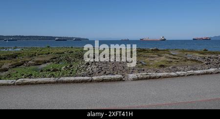 Vancouver CAN, Kanada / Kanada, Urlaubseindruecke und Sehenswuerdigkeiten, Vancouver, Downtown, 04.07.2024. mehrere Frachtschiffe und Tanker, die in der English Bay vor Anker liegen vom Stanley Park aus gesehen. CAN, Kanada / Kanada, Urlaubseindruecke und Sehenswuerdigkeiten, Vancouver, Downtown, 04.07.2024. *** Vancouver CAN, Kanada Kanada, Urlaubseindrücke und Sehenswürdigkeiten, Vancouver, Downtown, 04 07 2024 mehrere Frachtschiffe und Tanker vor Anker in English Bay gesehen von Stanley Park CAN, Kanada Kanada, Urlaubseindrücke und Orte of Interest, Vancouver, Downtown, 04 07 2024 Cop Stockfoto