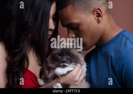 Das junge Paar blickt liebevoll auf ihre birmankatze, teilt einen süßen Moment der Zärtlichkeit und Zuneigung in ihrem Zuhause, strahlt Glück und Wärme aus. Fell Stockfoto