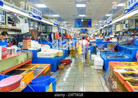Busan, Südkorea - 7. Oktober 2017: Fantastischer Blick auf den Jagalchi Fischmarkt am Rande des Hafens von Busan am Morgen. Stockfoto