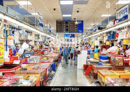 Busan, Südkorea - 7. Oktober 2017: Fantastischer Blick auf den Jagalchi Fischmarkt am Rande des Hafens von Busan am Morgen. Stockfoto