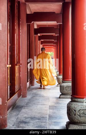 Buddhistischer Mönch, der entlang des roten Holzkorridors eines Tempels spaziert. Mönch trägt gelben Gewand. Stockfoto