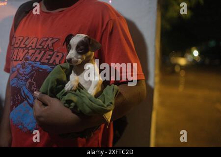 Tulum, Mexiko. Juli 2024. Eine Person hält einen kleinen Hund, als sie in einem Notunterkunft ankommt. Direkt vor der Küste der Halbinsel Yucatán wird der Hurrikan „Beryl“ wieder stärker. Die Menschen verlassen ihre Häuser, um sich vor den Folgen des Hurrikans zu schützen. Quelle: Felix Marquez//dpa/Alamy Live News Stockfoto