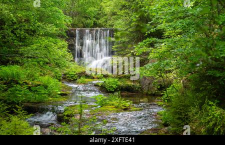 Krkonose Berge - Wasserfall malerische Natur moosgrüner Hintergrund - weißes, wildes Wasser, das von Felsen fällt und romantische Schleier bildet. KRNAP (Krkonossky Nati Stockfoto