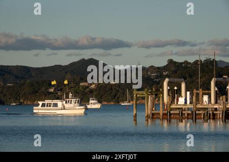 Fähre von Russell nach Paihia, Ankunft am Paihia Wharf, Bay of Islands, Neuseeland Stockfoto