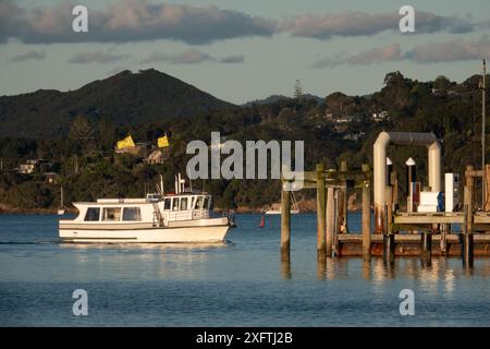 Fähre von Russell nach Paihia, Ankunft am Paihia Wharf, Bay of Islands, Neuseeland Stockfoto