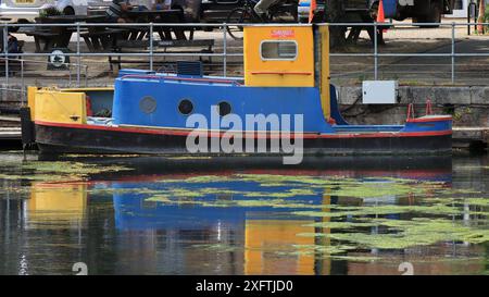 Chichester Canal, West Sussex, England. 27. Juni 2024. Egremont, ein Bantam-Pusher-Schlepper aus dem Jahr 1968, dockte am Kanal an. Stockfoto