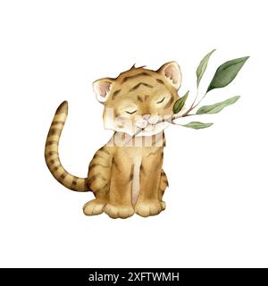 Süßer Kawaii-Tiger, der mit grünem Eukalyptus sitzt. Aquarell handgezeichnete Illustration afrikanisches Tier isoliert auf einem weißen Hintergrund. Zeichentrickkinder Stockfoto