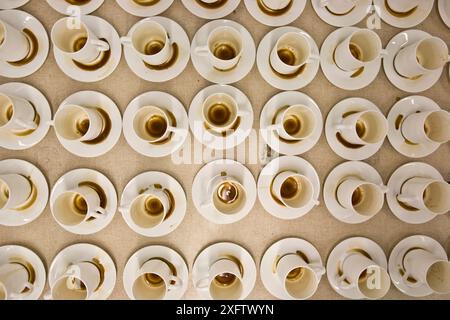 Reihen von Tassen Kaffee, die für einen Spültest ausgekleidet wurden Stockfoto