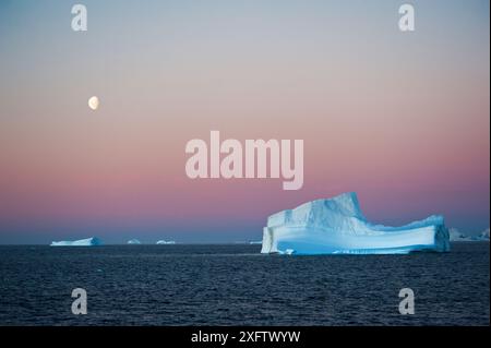 Immer größer werdende Eisberge brechen vom Land ab und machen sich dort auf den Weg ins Meer. Die wunderschönen Kunstwerke aus der Natur tragen ironische Schönheit bei Sonnenuntergang bei Vollmond. Stockfoto