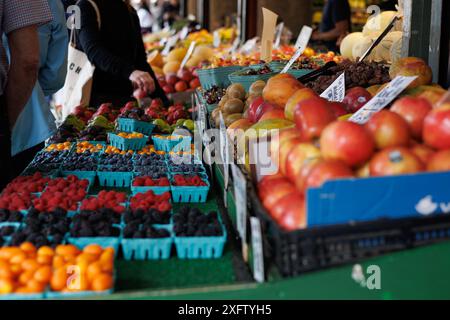 Lebendiger Obststand mit verschiedenen Beeren und Früchten. Stockfoto
