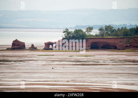 Küstenklippen bei Ebbe, Upper Bay of Fundy, Nova Scotia, Kanada, September 2017. Stockfoto