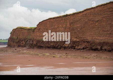 Coastal Cliff, Upper Bay of Fundy, Nova Scotia, Kanada, September 2017. Stockfoto