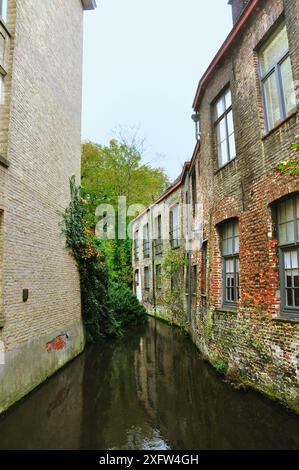 30-10-2014 Brügge, Belgien - Eine malerische Szene eines schmalen Kanals, der durch traditionelle Backsteinhäuser in Brügge fließt Stockfoto