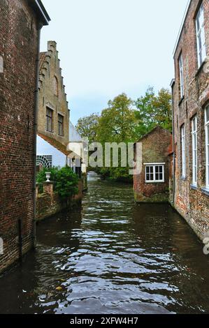 30-10-2014 Brügge, Belgien - Eine malerische Szene eines schmalen Kanals, der durch traditionelle Backsteinhäuser in Brügge fließt Stockfoto