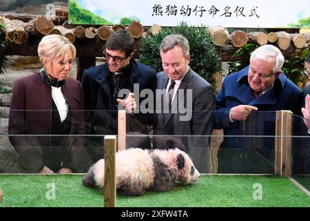 Namenszeremonie für das 4 Monate alte Pandabuhn im Beauval Zoo, St-Aignan, Frankreich. Dezember 2017. Von links nach rechts: Brigitte Macron, Ehefrau des französischen Präsidenten, Rodolphe Delord, CEO von Beauval ZooParc, Jean-Baptiste Lemoyne, französischer Juniorminister für auswärtige Angelegenheiten, und Jean-Pierre Raffarin, ehemaliger französischer Premierminister und Freund von China, der sich mit dem Pandabutter Yuan Meng (Ailuropoda melanoleuca) beschäftigt. NUR FÜR REDAKTIONELLE DRUCKANWENDUNGEN – ONLINE-NUTZUNG NICHT ZULÄSSIG Stockfoto