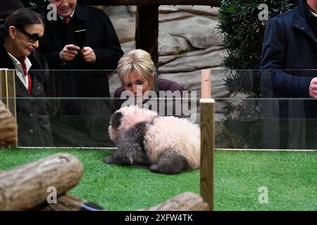 Brigitte Macron, Ehefrau des französischen Präsidenten, und FranÃƒÂ Delord, Gründer des Beauval ZooParc, betrachten Pandabub Yuan Meng (Ailuropoda melanoleuca) bei der Benennungszeremonie des 4 Monate alten Pandabubs im Beauval Zoo, St-Aignan, Frankreich, 4. Dezember 2017 NUR REDAKTIONELLE PRINTVERWENDUNG - KEINE ONLINE-NUTZUNG ERLAUBT. Stockfoto