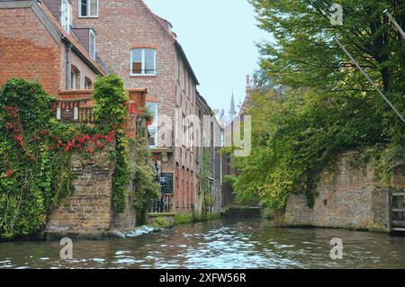 30-10-2014 Brüssel, Belgien - Ein schmaler Kanal in Brügge, flankiert von traditioneller Architektur und üppiger grüner Vegetation Stockfoto