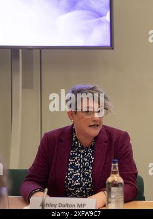 BILDER ABLEGEN. Juli 2024. Die Labour-Abgeordnete Ashley Dalton hat ihren Sitz in West Lancashire nach den gestrigen Parlamentswahlen beibehalten. Westminster, Großbritannien. März 2024. Ashley Dalton, Abgeordneter der Labour Party, nimmt an einer Parlamentarischen Veranstaltung im Portcullis House im House of Commons in Westminster Teil. Kredit: Maureen McLean/Alamy Stockfoto