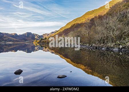 Llyn Crafnant, nördlicher Rand des Gwydir-Waldes, Blick nach Südwesten mit Crimpiau-Berg im Hintergrund. In der Nähe von Llanwrst, Snowdonia National Park, Nordwales, Großbritannien. Oktober 2017. Stockfoto